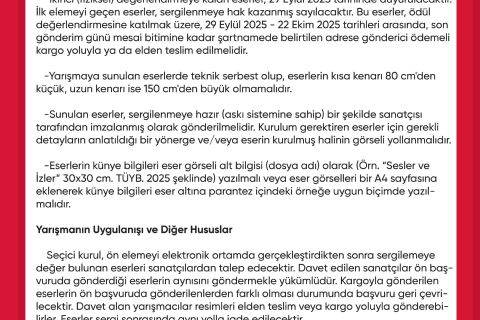 Cumhuriyetimizin 102. Yılına Özel Ulusal Resim Yarışması Başvuruları Başladı!