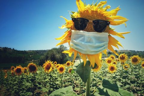 “Pandemide Neler Çektik” Fotoğraf Yarışması’nın Ödülleri Sahiplerini Buldu